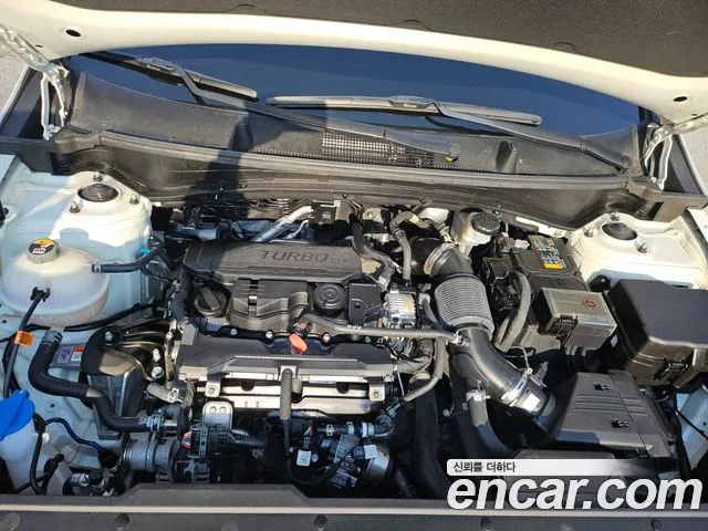 Kia Sportage 5th Generation id 2521429 из Кореи 5