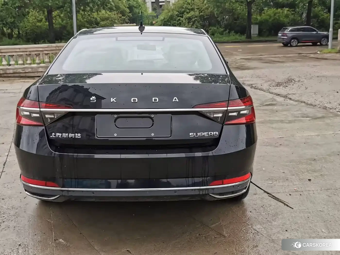 Skoda Speed pie 2026 Черный из Китая, фото 5