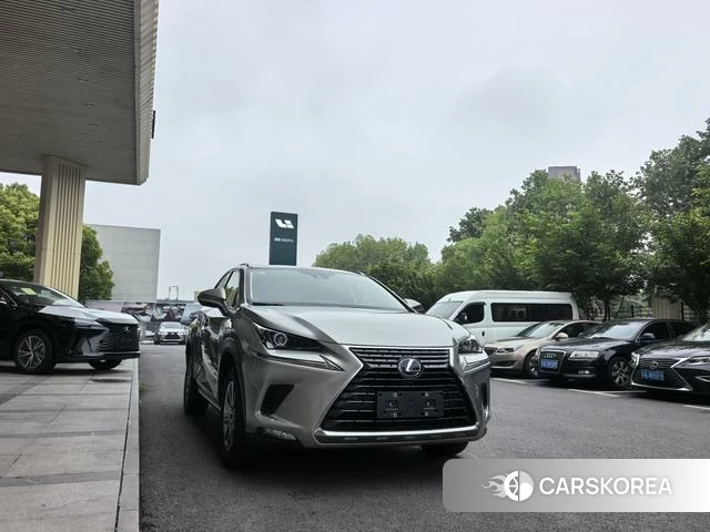 Lexus NX 2021 Серебристо-серый из Китая, фото 5