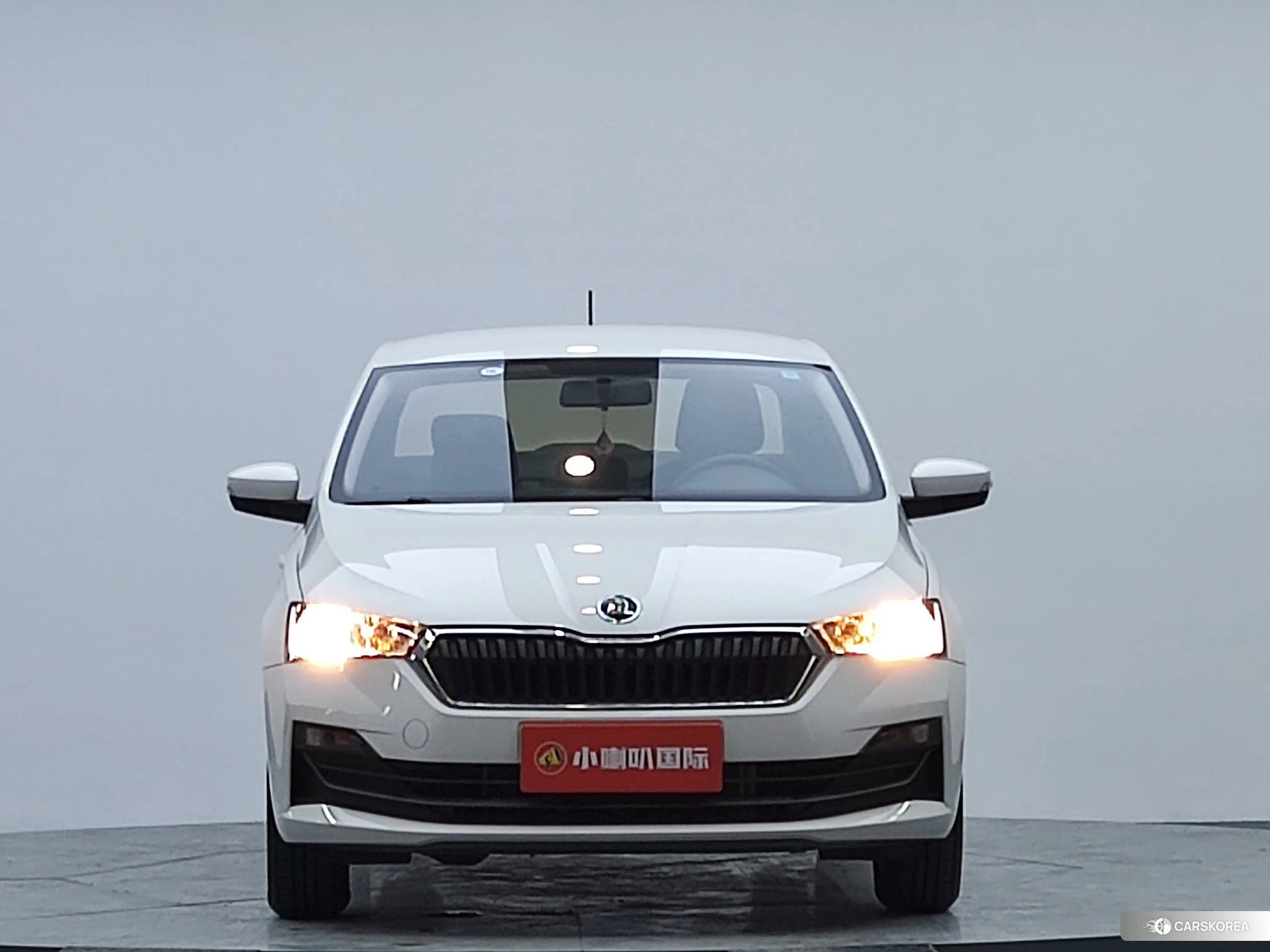 Skoda Xin Rui 2020 Белый из Китая, фото 5