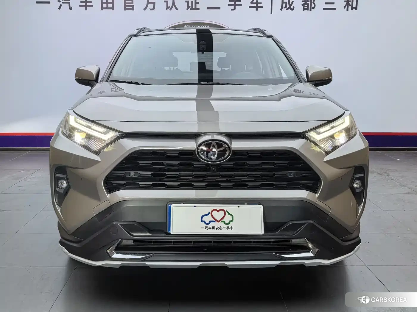 Toyota RAV4 2023 Champagne/brown из Китая, фото 5
