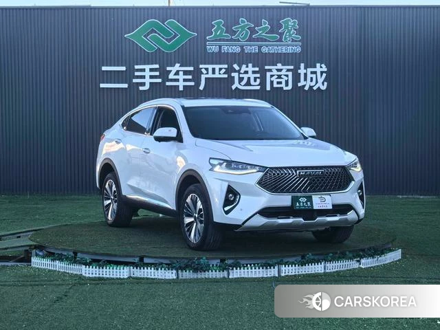 Haval F7x 2021 Белый из Китая, фото 5