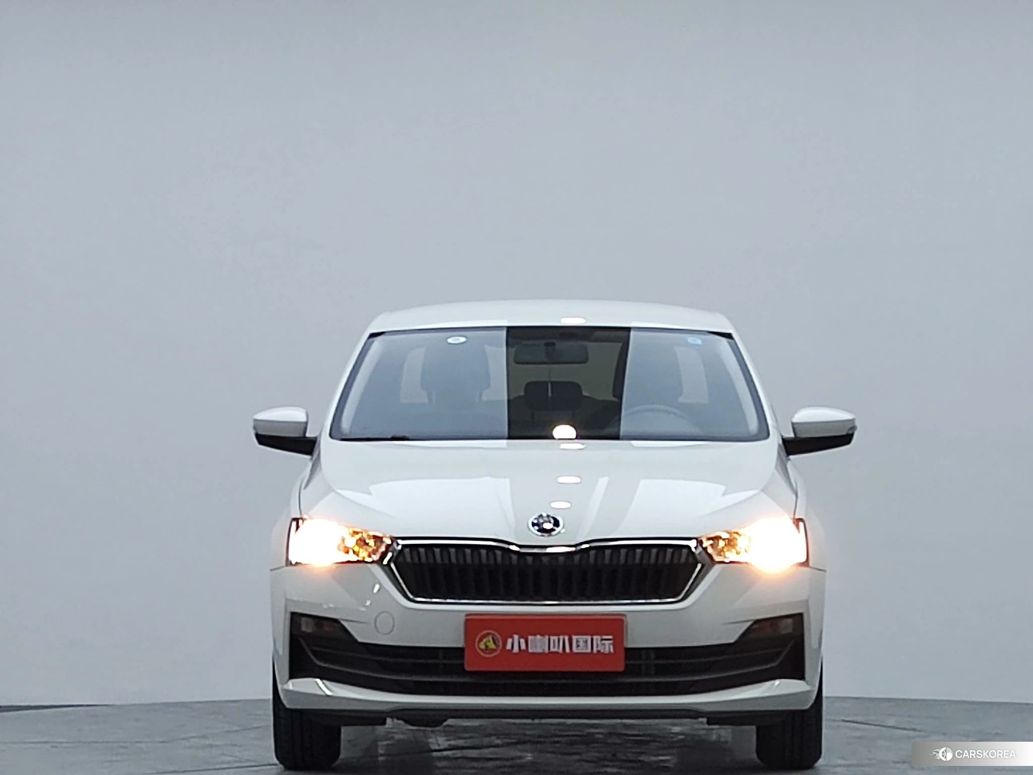 Skoda Xin Rui 2020 Белый из Китая, фото 5