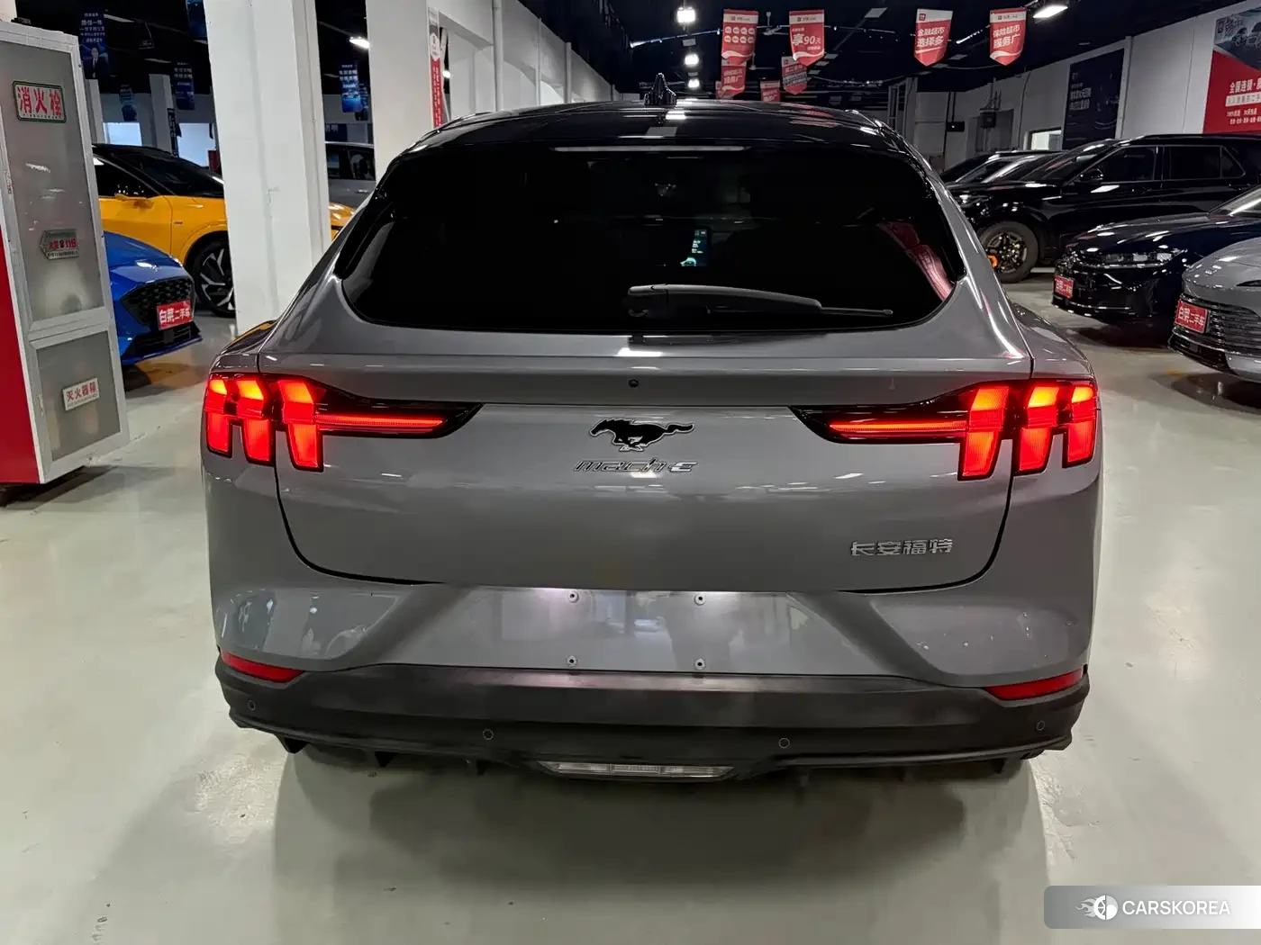 Ford Electric horse 2022 Silver/gray из Китая, фото 5