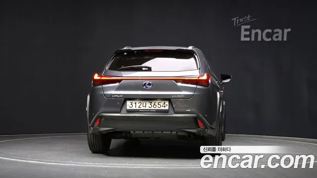 Lexus UX250h 2020 Серый из Кореи, фото 5