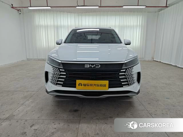 BYD Sea Lion 05DM 2025 Белый из Китая, фото 5
