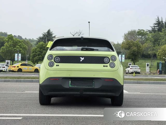 firefly firefly Unknown 2026 Зеленый из Китая, фото 5