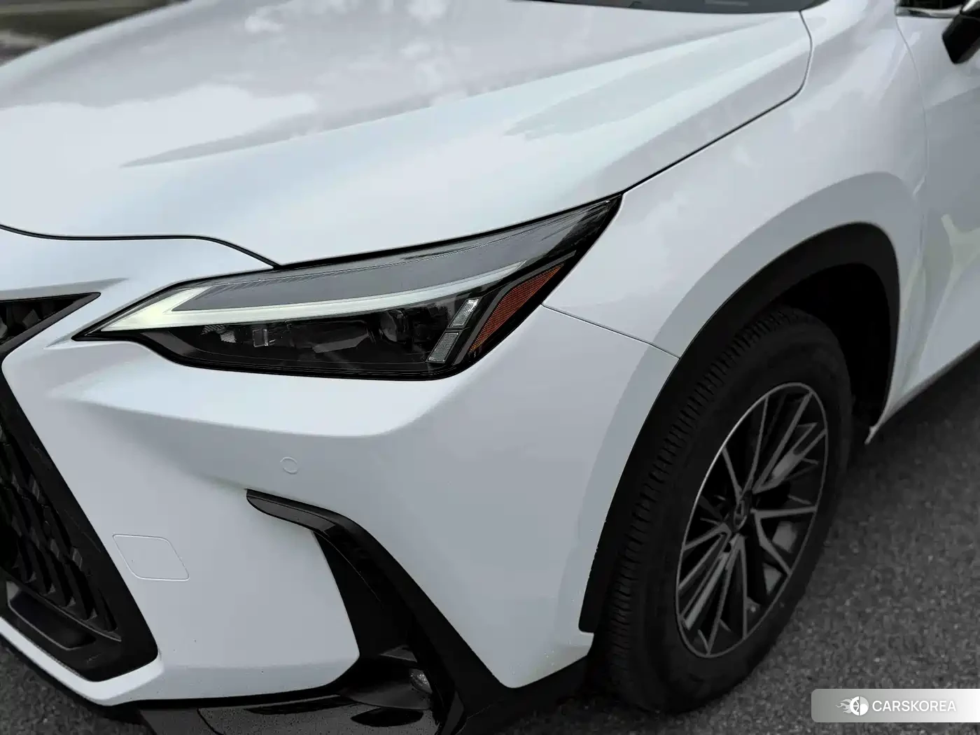 Lexus NX 2022 Белый из Китая, фото 5