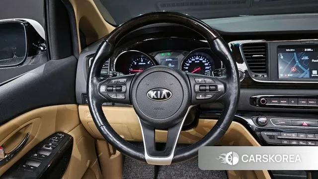 Kia The New Carnival 2020 Белый из Кореи, фото 5