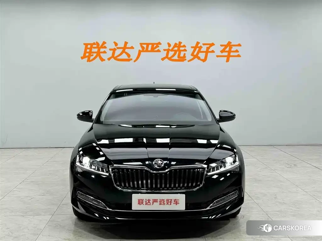 Skoda Speed pie 2024 Черный из Китая, фото 5