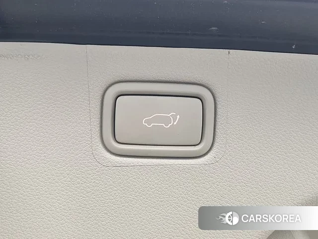 Kia The New Carnival 2018 Серый из Кореи, фото 5