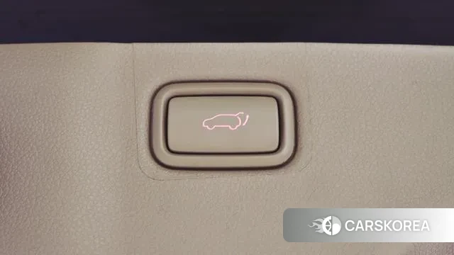 Kia The New Carnival 2019 Черный из Кореи, фото 5