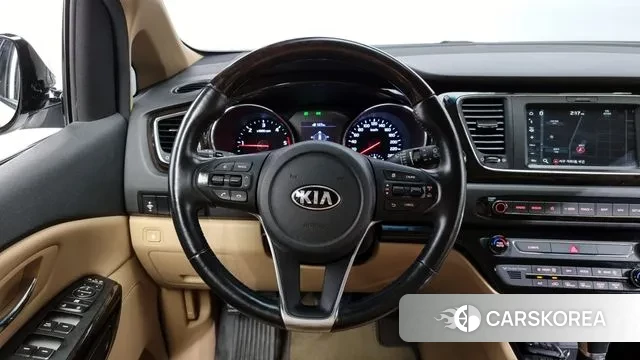 Kia The New Carnival 2019 Белый из Кореи, фото 5