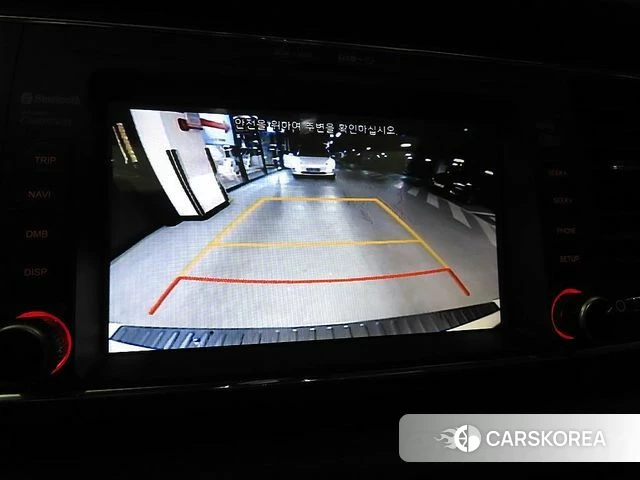 Kia The New Carnival 2018 Белый из Кореи, фото 5