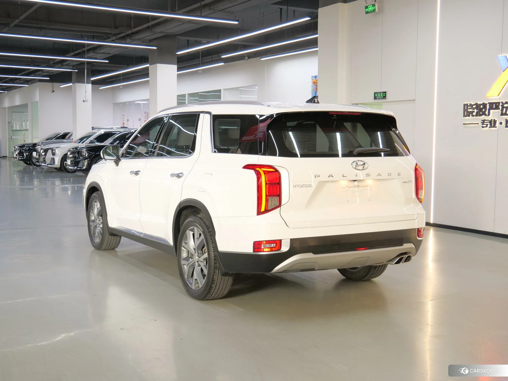 Hyundai Paristi 2020 Белый из Китая, фото 5
