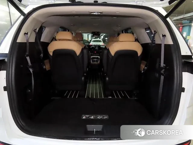 Kia Carnival 4th generation 2023 Жемчужный цвет из Кореи, фото 5