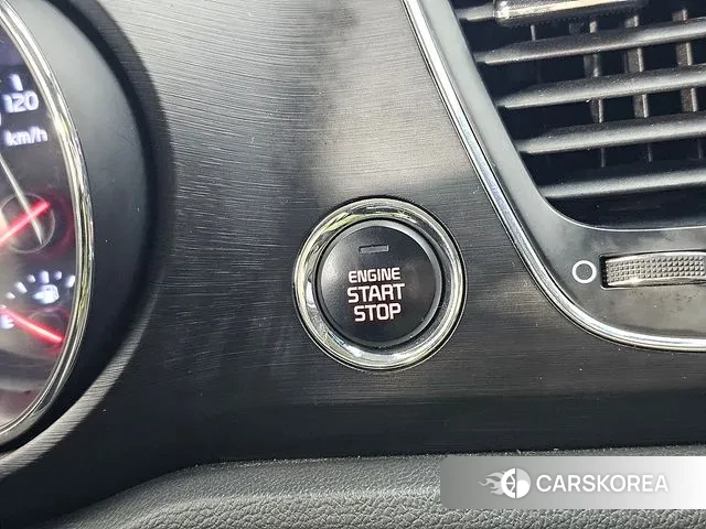 Kia The New Carnival 2020 Жемчужный цвет из Кореи, фото 5