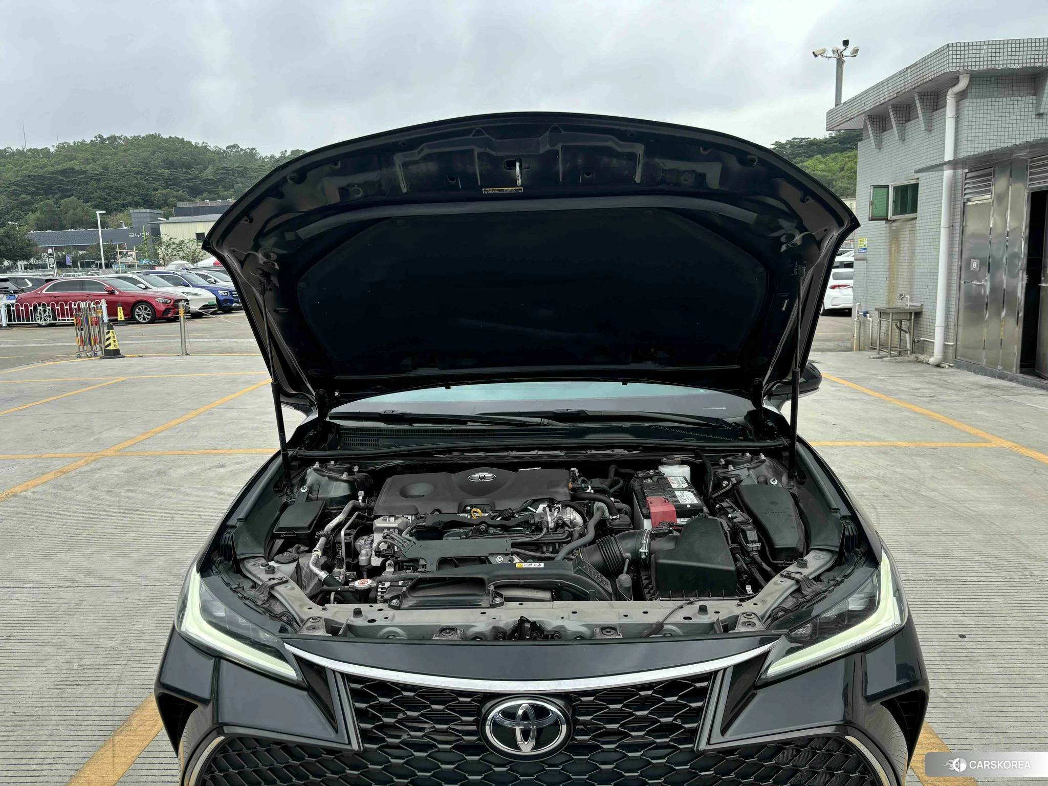 Toyota Asian dragon 2023 Черный из Китая, фото 5