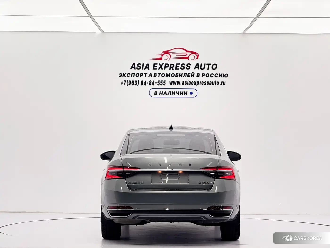 Skoda Speed pie 2024 Silver/gray из Китая, фото 5