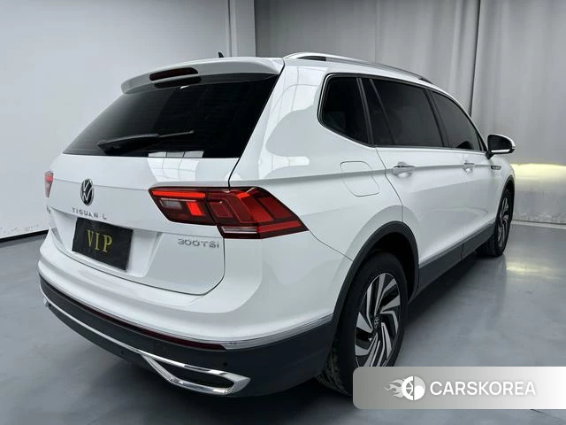 Volkswagen Tiguan L 2023 Белый из Китая, фото 5