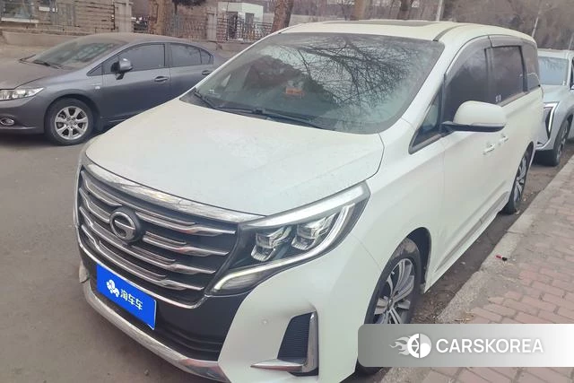 GAC Trumpchi Trumpchi M8 2020 Белый из Китая, фото 5