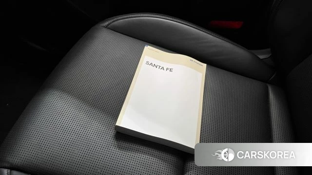 Hyundai Santa Fe (MX5) 2024 Черный из Кореи, фото 5