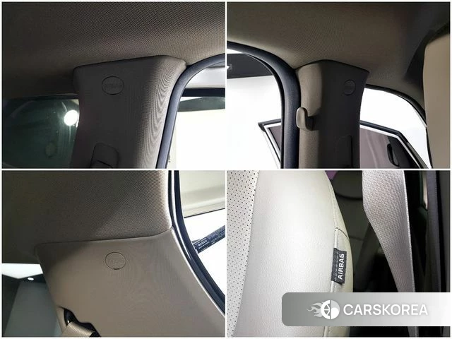 Kia The New Carnival 2019 Жемчужный цвет из Кореи, фото 5