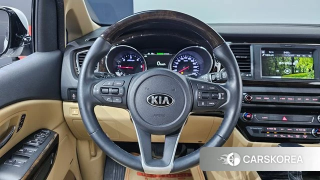 Kia The New Carnival 2019 Белый из Кореи, фото 5