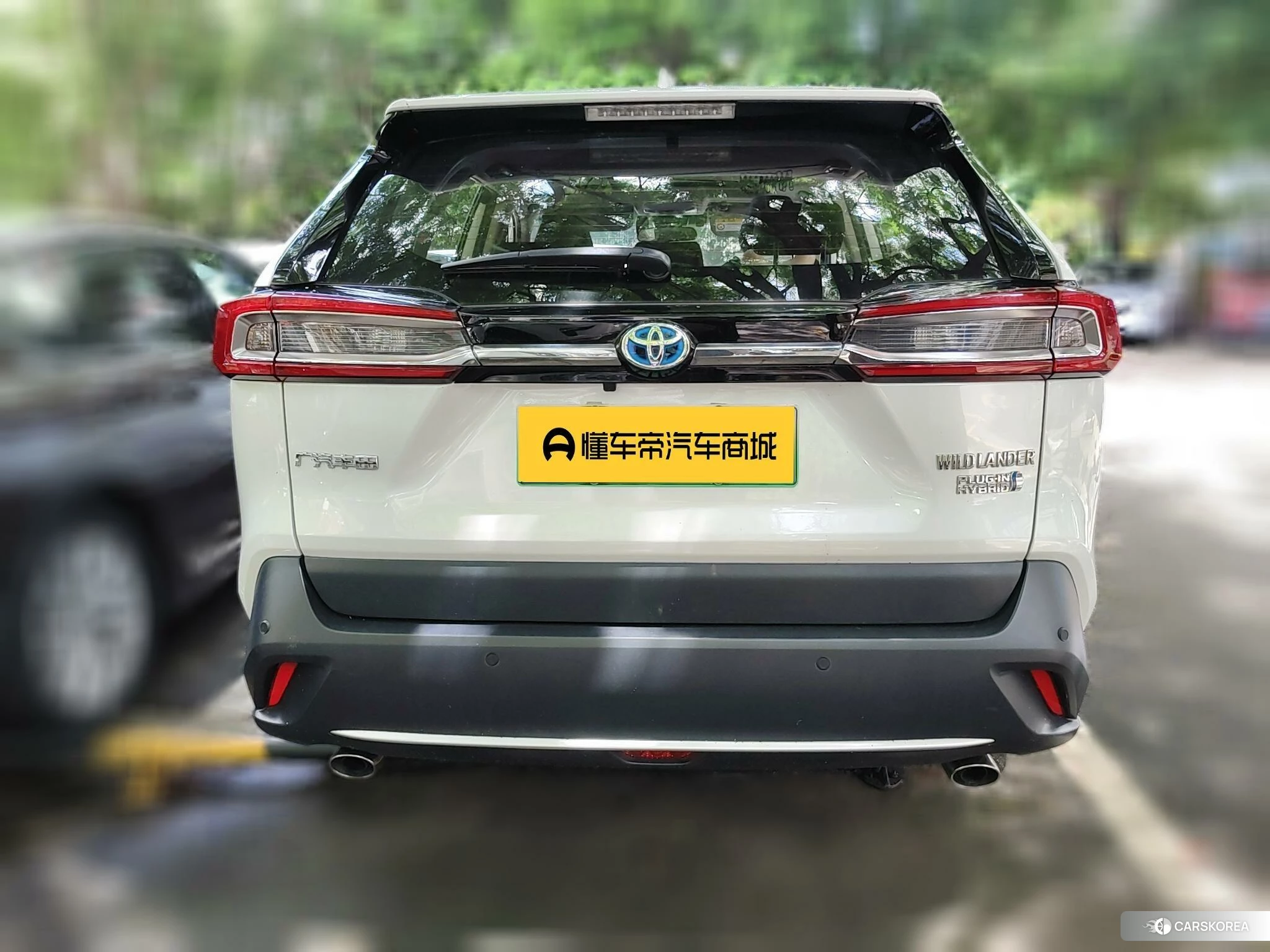 Toyota Weilanda PHEV 2021 Белый из Китая, фото 5