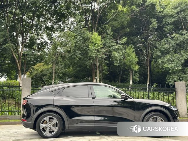 Ford Electric horse 2022 Черный из Китая, фото 5