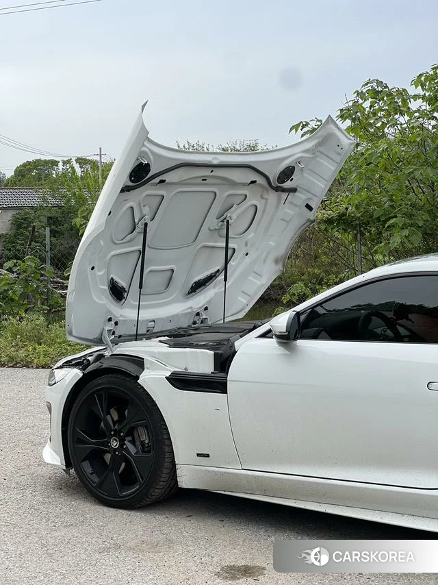 Jaguar F-TYPE 2025 Белый из Китая, фото 5