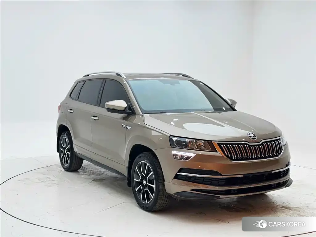 Skoda Krok 2022 Champagne/brown из Китая, фото 5