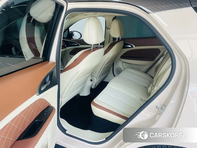 Euler Good cat 2021 Другой из Китая, фото 5