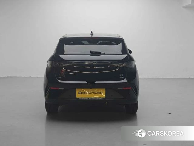 BYD dolphin 2025 Черный из Китая, фото 5