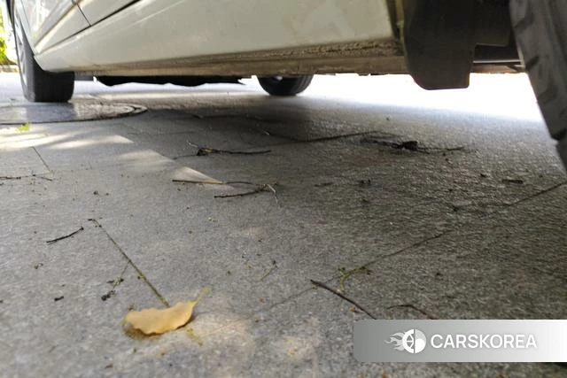 Ford Forrest 2019 Белый из Китая, фото 5