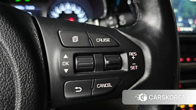 Kia The New Carnival 2019 Белый из Кореи, фото 5
