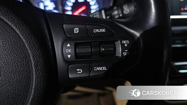 Kia The New Carnival 2019 Белый из Кореи, фото 5