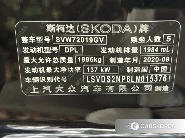 Skoda Speed pie 2020 Черный из Китая, фото 5