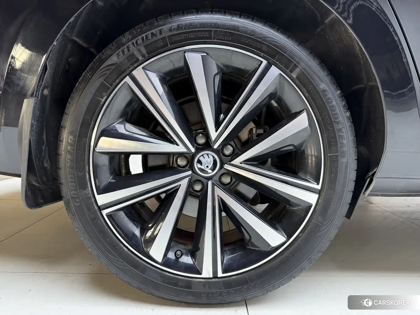 Skoda Speed pie 2023 Черный из Китая, фото 5