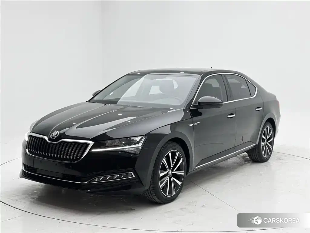 Skoda Speed pie 2023 Черный из Китая, фото 5