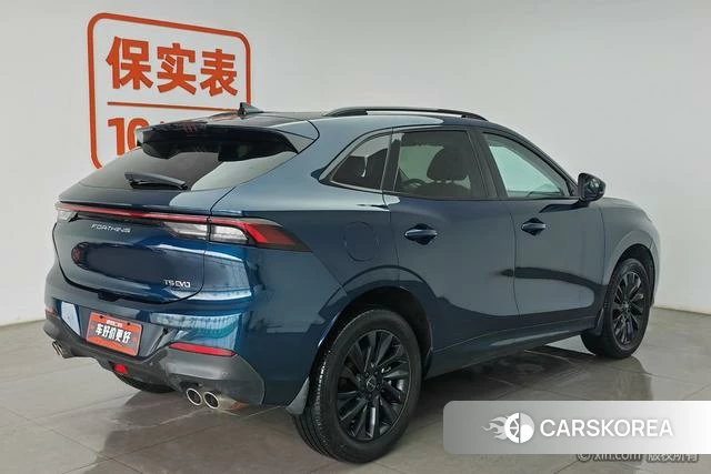 Dongfeng popular Popular T5 EVO 2021 Зеленый из Китая, фото 5