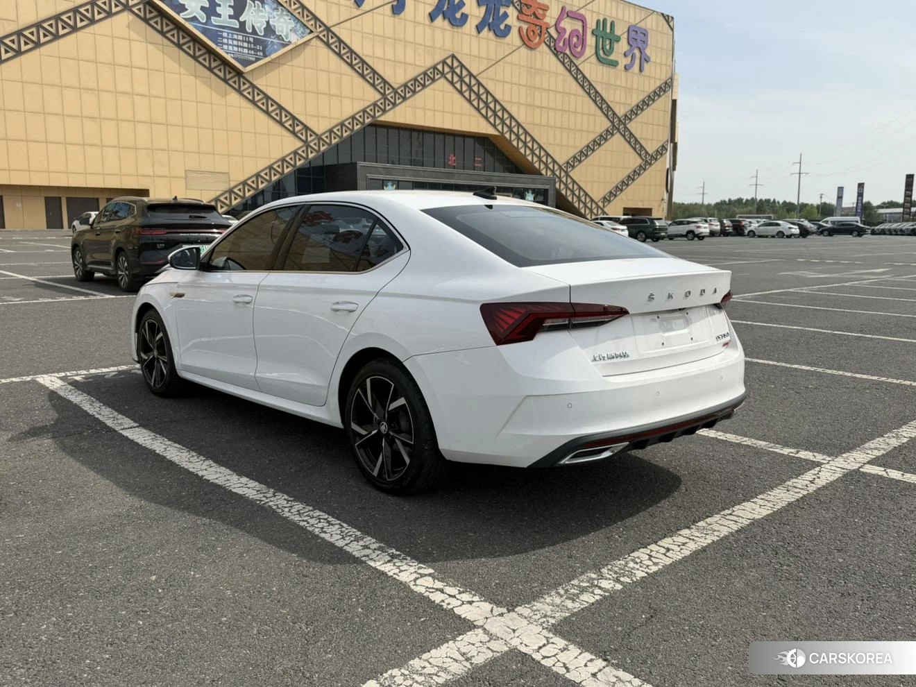 Skoda Octavia 2022 Белый из Китая, фото 5