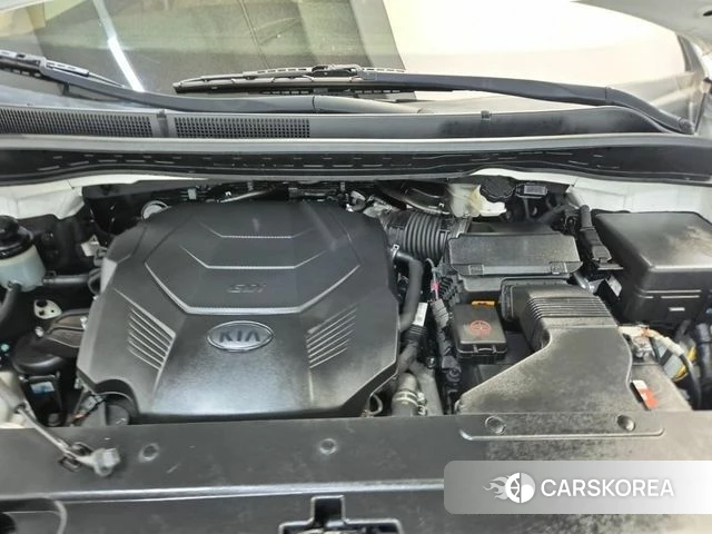 Kia The New Carnival 2018 Белый из Кореи, фото 5