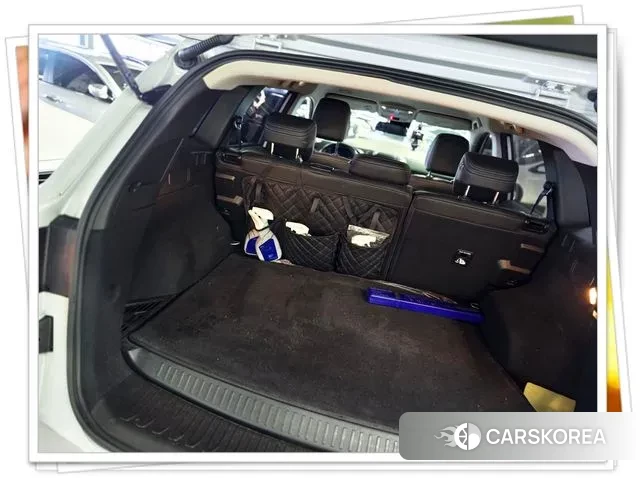 Renault Korea (Samsung) The New QM6 2021 Жемчужный цвет из Кореи, фото 5