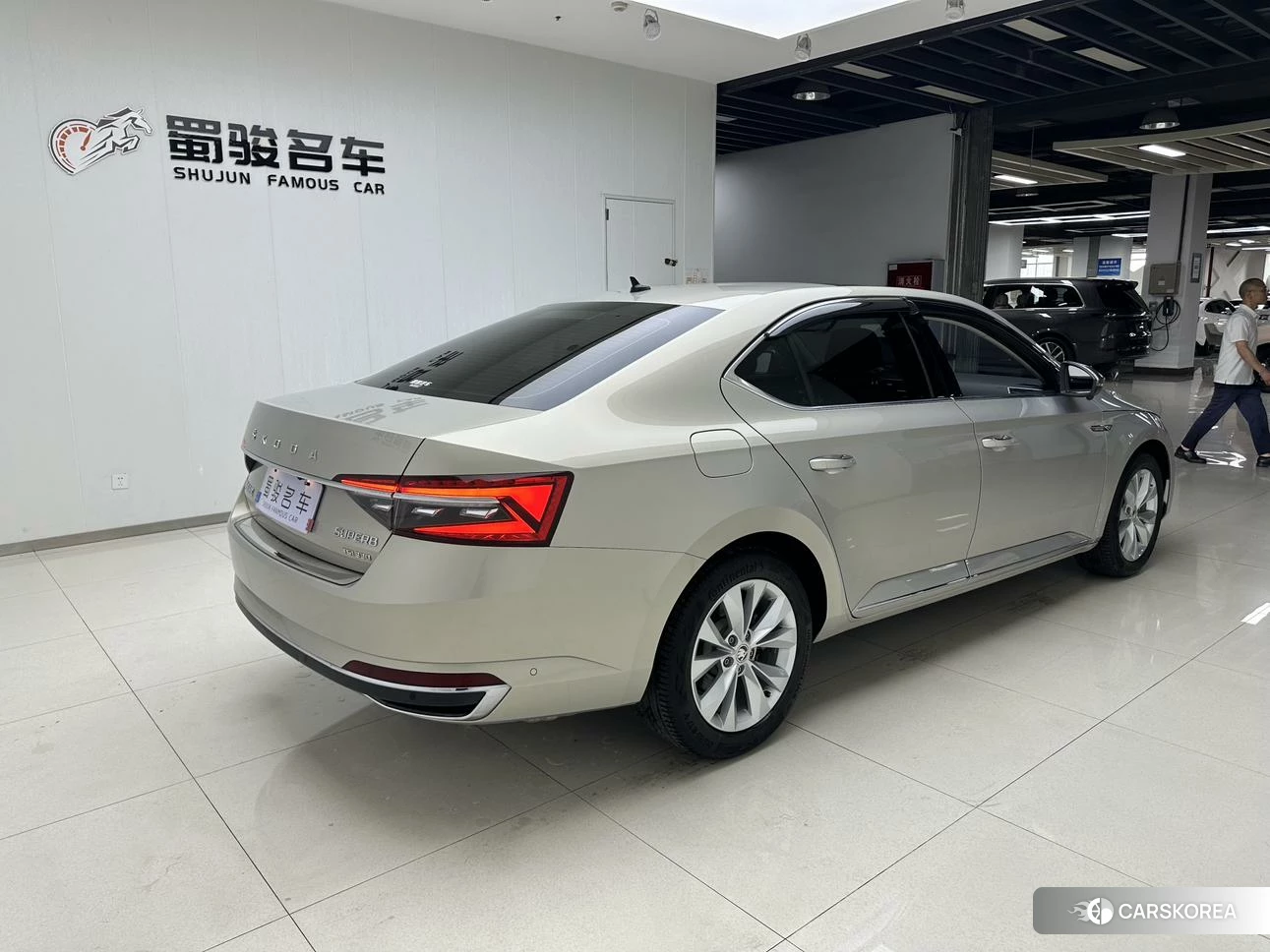 Skoda Speed pie 2019 Шампань из Китая, фото 5