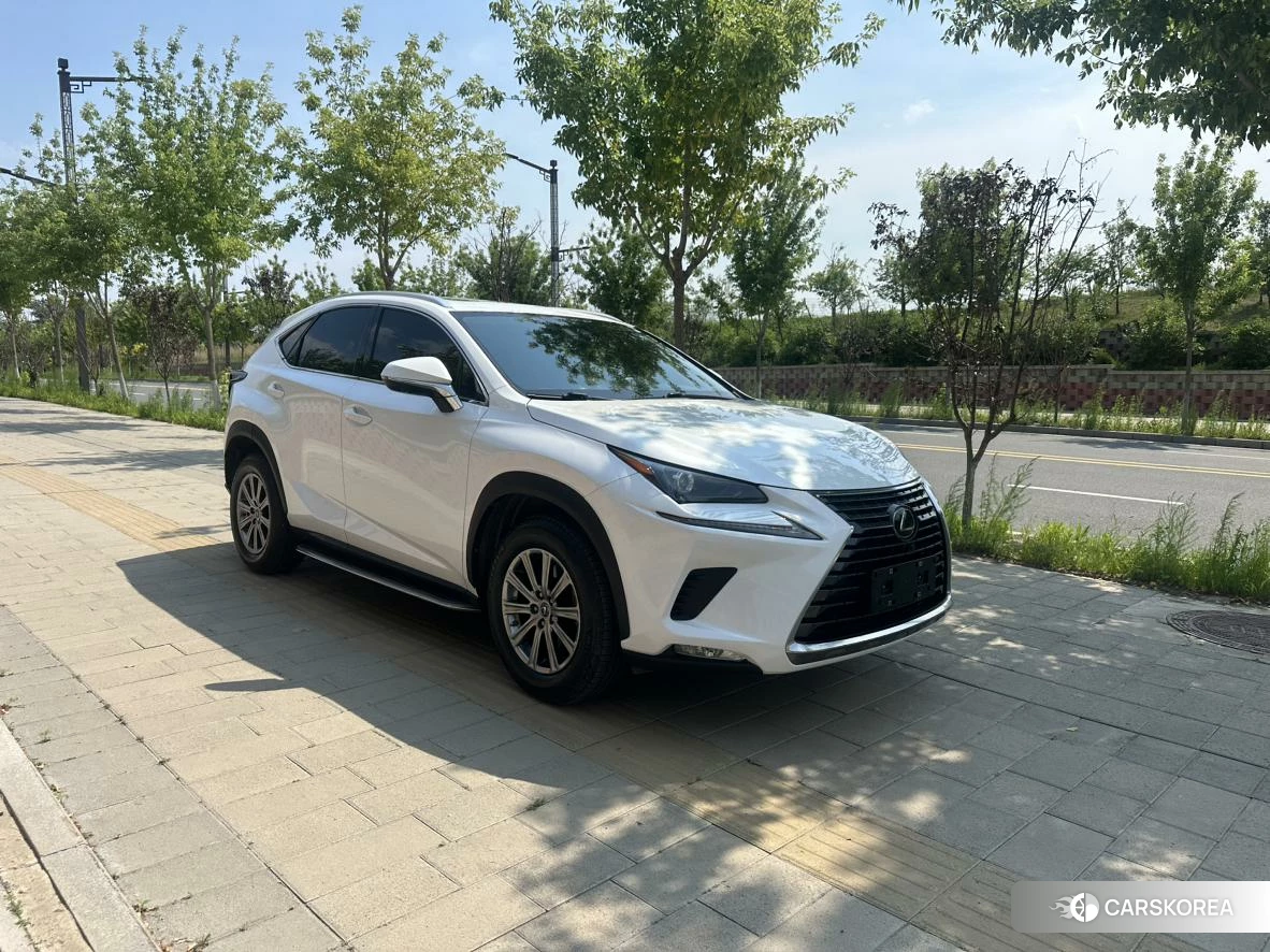 Lexus NX 2019 Белый из Китая, фото 5