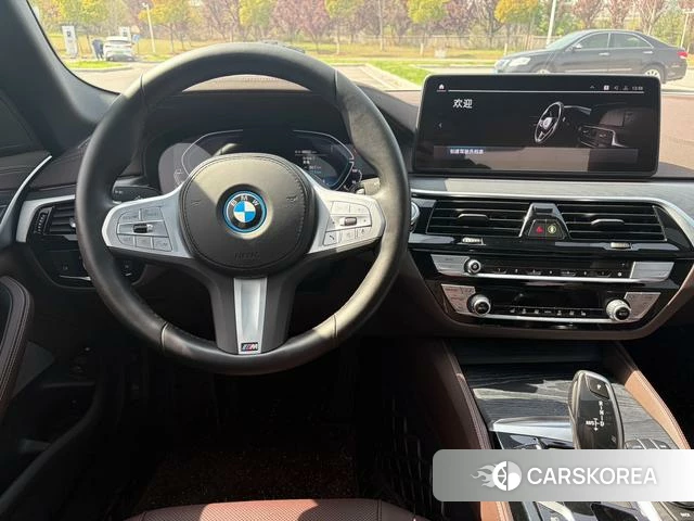 BMW 5 series PHEV id 4209943 из Китая 5