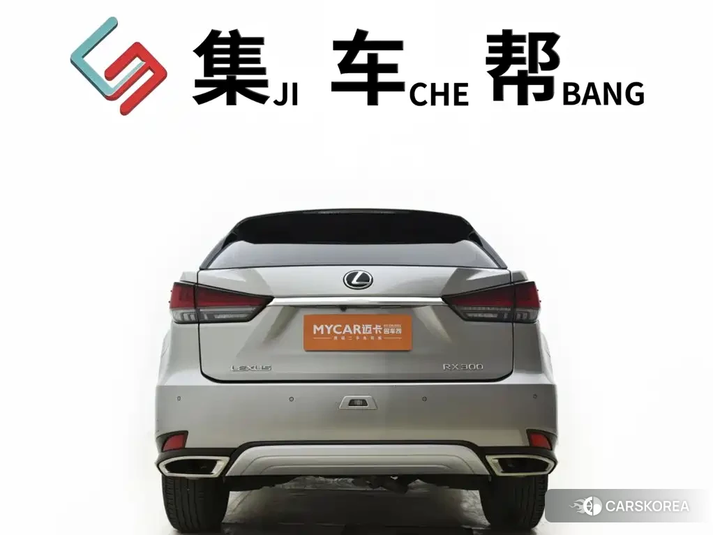 Lexus RX 2022 Silver/gray из Китая, фото 5
