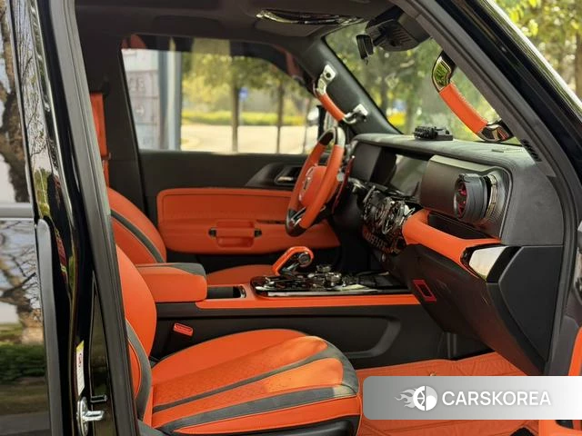 Tank Cyber 300 2023 Черный из Китая, фото 5