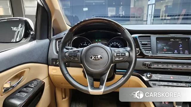 Kia The New Carnival 2020 Белый из Кореи, фото 5